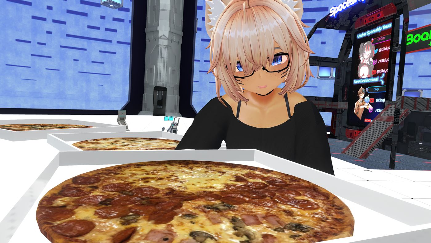 VRChat Tour 20